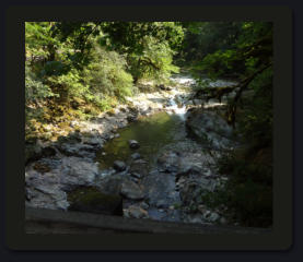 Photo by Greening Ways